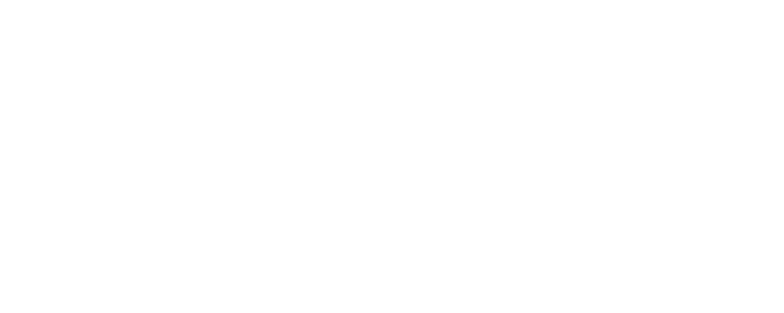 عرفات.. البندقية وغصن الزيتون