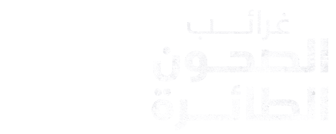 غرائب الصحون الطائرة 