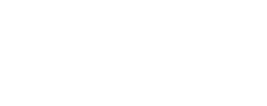 تحدي النينجا