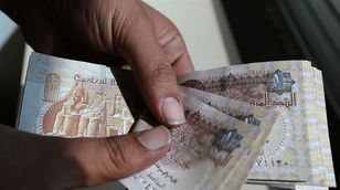 رزق: دعم صندوق النقد والخليج لمصر يطمئن المستثمرين