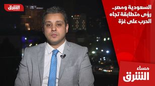 السعودية ومصر.. رؤى متطابقة تجاه الحرب على غزة