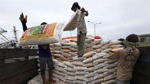 توثوفا: المنافسة بين مصدري القمح تخفض الأسعار عالمياً