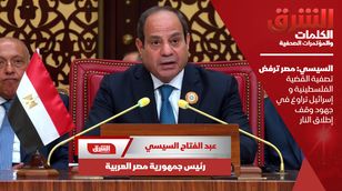 السيسي: مصر ترفض تصفية القضية الفلسطينية وإسرائيل تراوغ في جهود وقف إطلاق النار