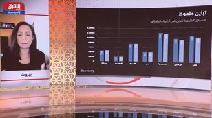 ماري سالم: غياب المؤسسات عن التداولات بالسوق السعودي أثر على نفسية المستثمرين