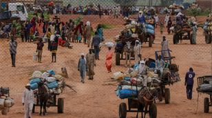 ولاية الجزيرة السودانية.. أوضاع كارثية