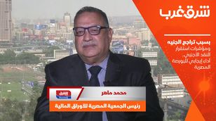 بسبب تراجع الجنيه ومؤشرات استقرار النقد الأجنبي.. أداء إيجابي للبورصة المصرية