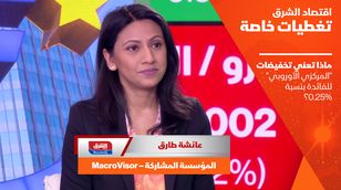 ماذا تعني تخفيضات "المركزي الأوروبي" للفائدة بنسبة 0.25%؟