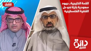 القمة الخليجية.. جهود سعودية بارزة نحو حل القضية الفلسطينية