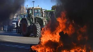 هل يمكن توظيف احتجاجات المزارعين في أوروبا من قبل اليمين المتطرف سياسيا؟