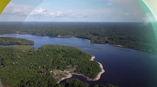 غابات الأمازون.. موطن لتنوع بيولوجي
