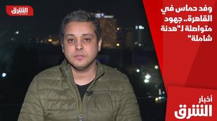 وفد حماس في القاهرة.. جهود متواصلة لـ"هدنة شاملة"