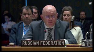 مندوب الاتحاد الروسي: فلسطين تستحق العضوية الكاملة في الأمم المتحدة