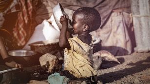أزمة الغذاء في السودان.. نصف السكان يواجهون المجاعة