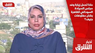 ماذا تحمل زيارة وفد مجلس السيادة السوداني للقاهرة بشأن مفاوضات جنيف؟