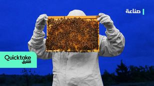 صناعة العسل المنزلي