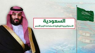 السعودية.. الاستراتيجية الوطنية لاستدامة البحر الأحمر