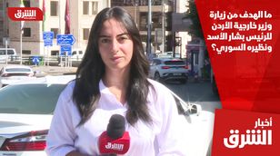 ما الهدف من زيارة وزير خارجية الأردن للرئيس بشار الأسد ونظيره السوري؟