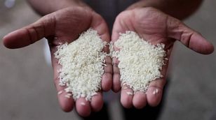 أسعار الأرز لأعلى مستوى منذ 15 عامًا.. وإفريقيا المتضرر الأكبر