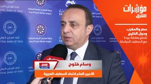 وسام فتوح: مصر والمغرب ودول الخليج تتمتع بعلاقة جيدة مع المصارف المراسلة