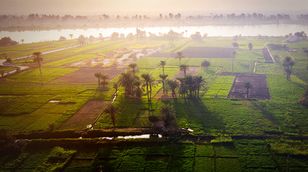 كيف تؤثر التغيرات المناخية على الأراضي الزراعية في مصر؟
