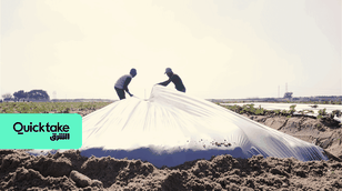 تدوير المخلفات البلاستيكية لأغطية زراعية لحماية المحاصيل