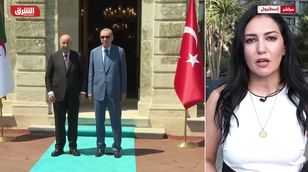 أردوغان وتبون يبحثان أوجه التعاون بين تركيا والجزائر