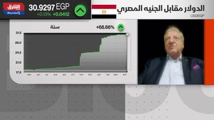 د. فخري الفقي: برنامج الطروحات مفتاح الحل للاقتصاد المصري