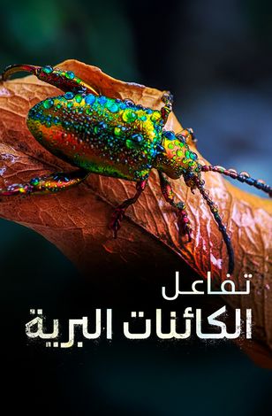 تفاعل الكائنات البرية