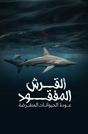 "عودة الحيوانات المنقرضة "القرش المفقود